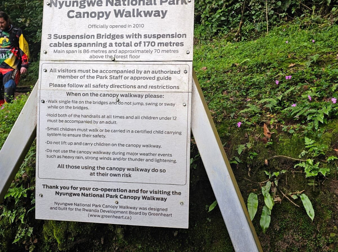 Nyungwe Canopy Walk-Butare必去景点