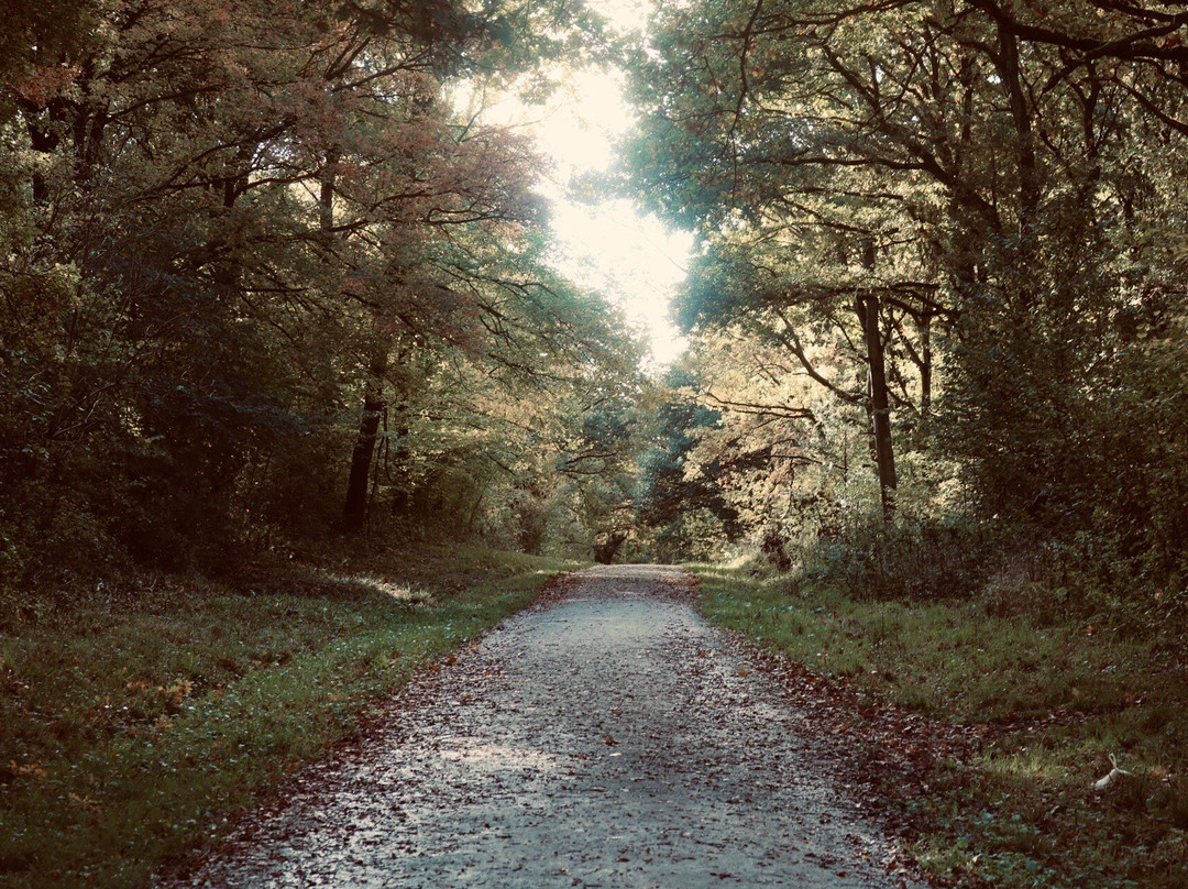 Oversley Wood-Alcester必去景点