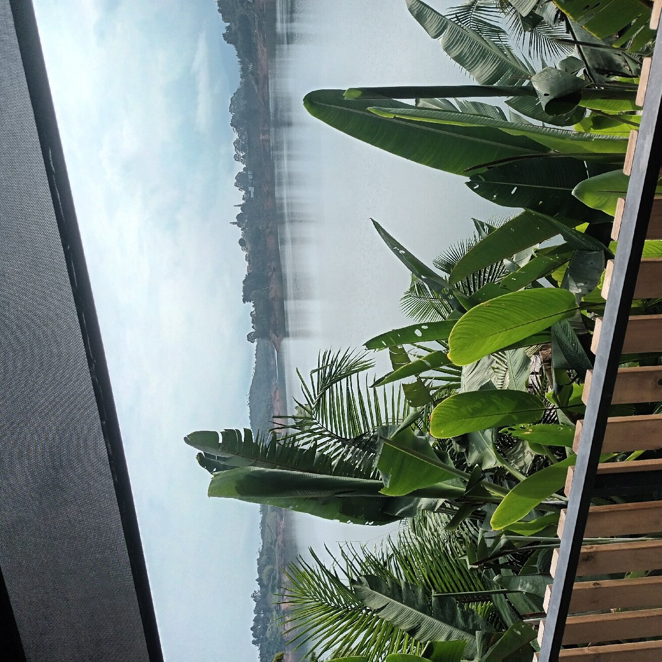 Murat Hotel-官方
