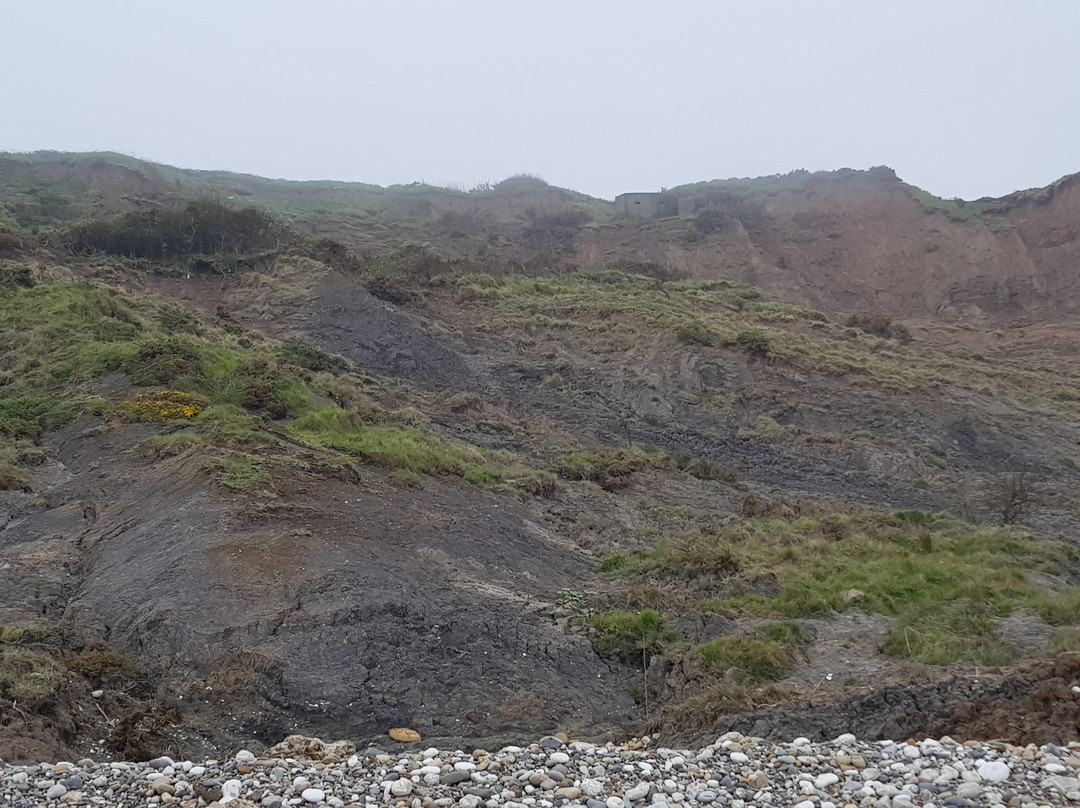 Reighton Sands Beach-Reighton必去景点