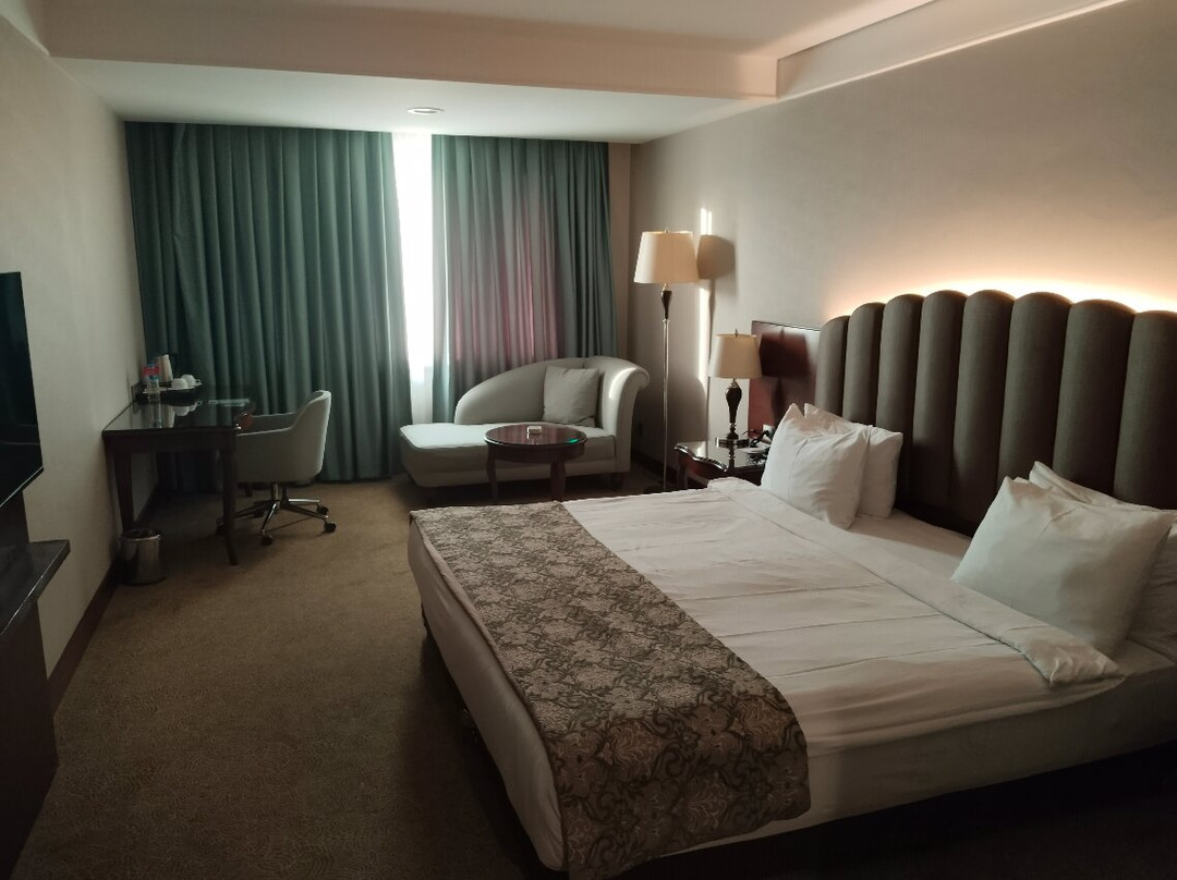 Ramada Plaza By Wyndham Malatya Altin Kayisi主图