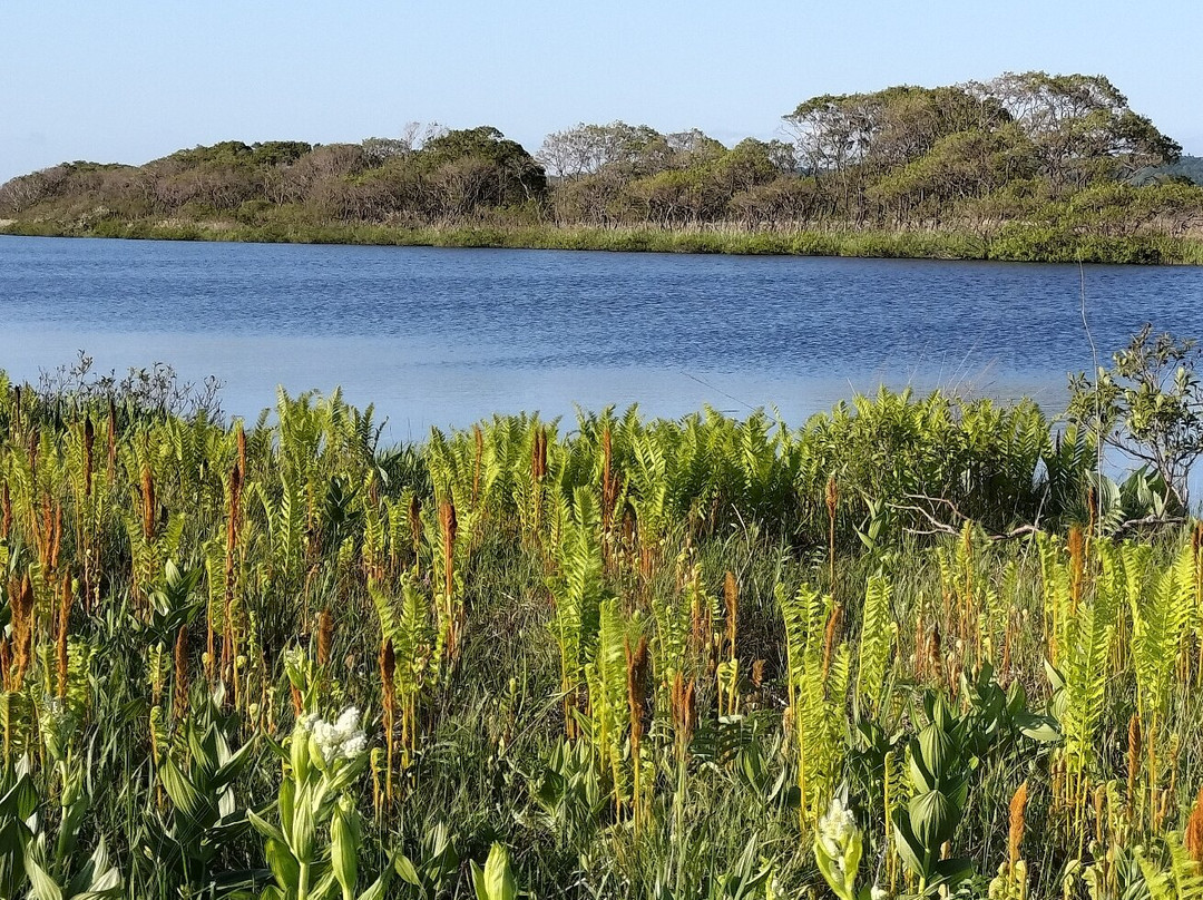 Panke Numaenchi-幌延町必去景点