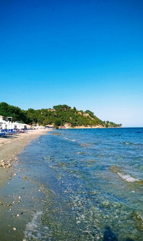 Xenios Dolphin Beach Hotel主图