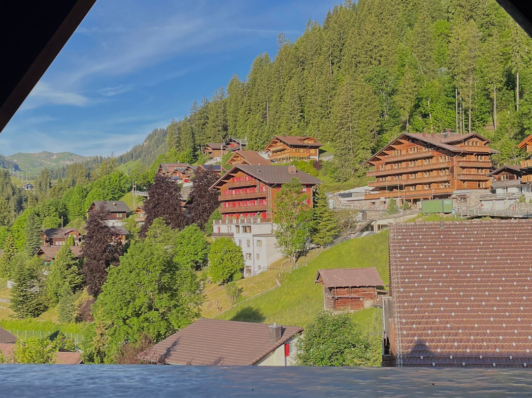 Hotel Steinmattli主图