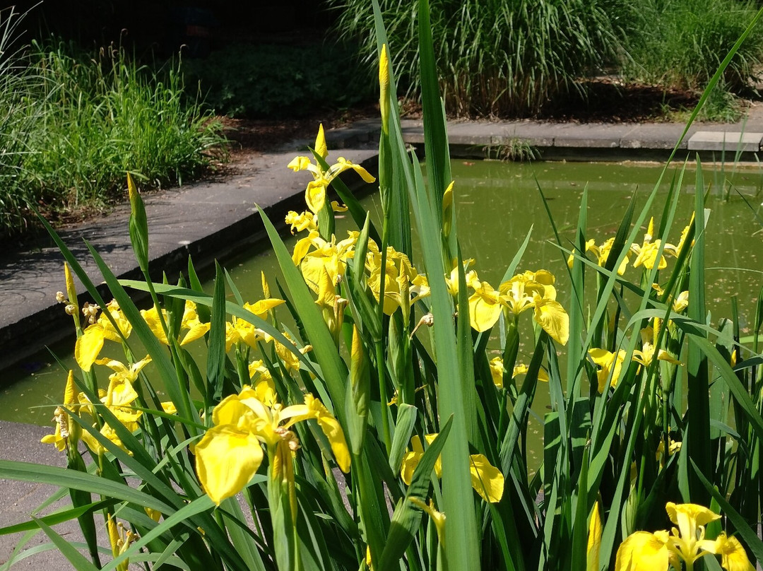 Bunter Garten景点图片