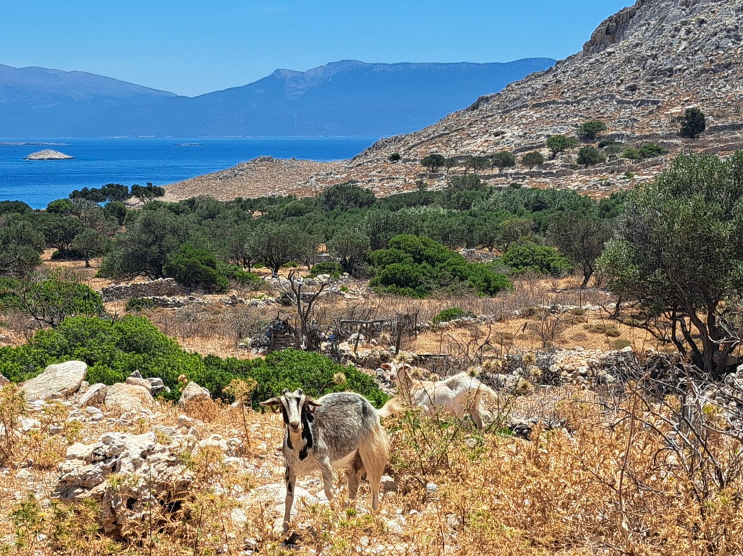 Halki Mirador-Chalki必去景点