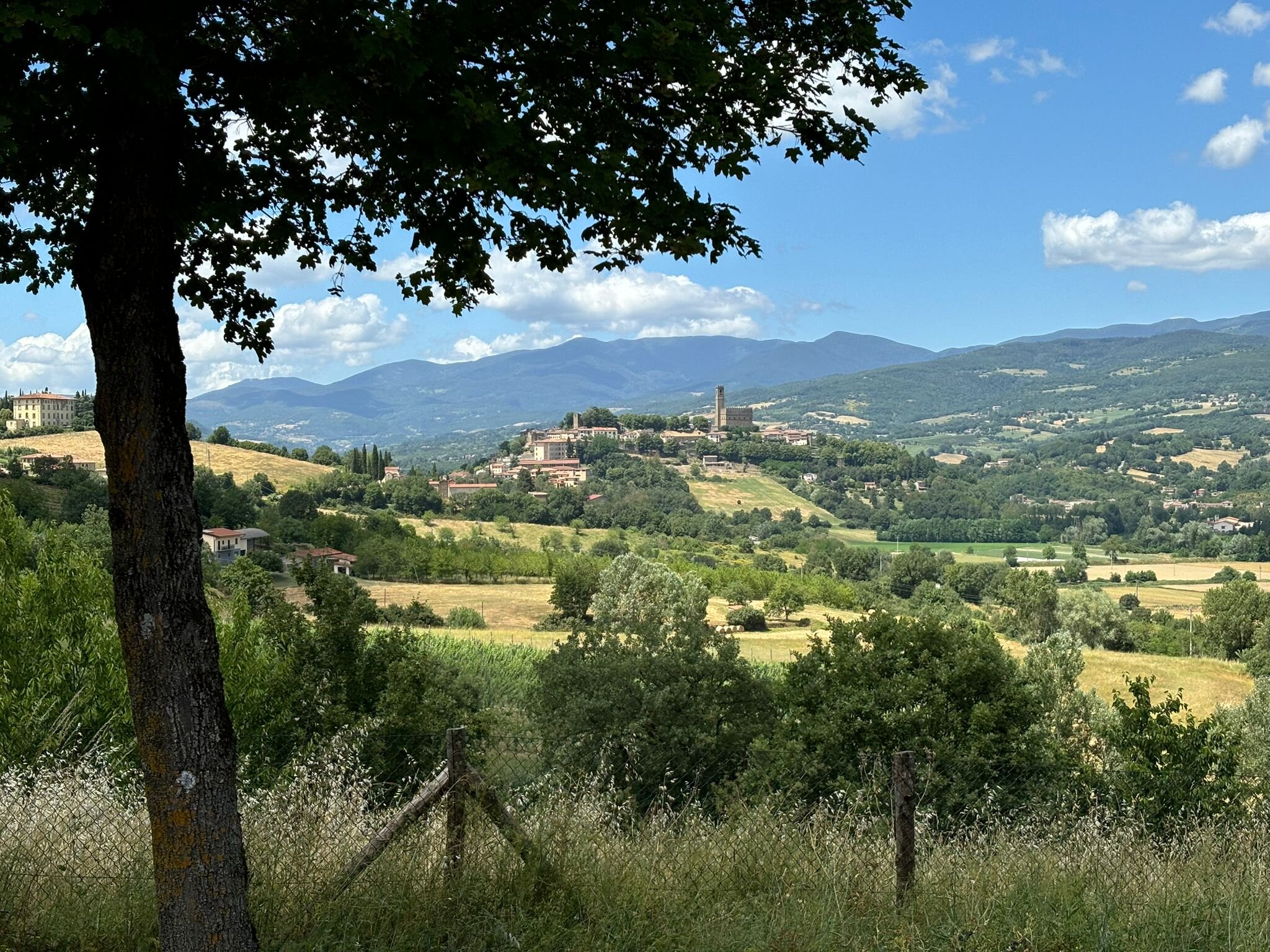 Poggio a Poppi-官方