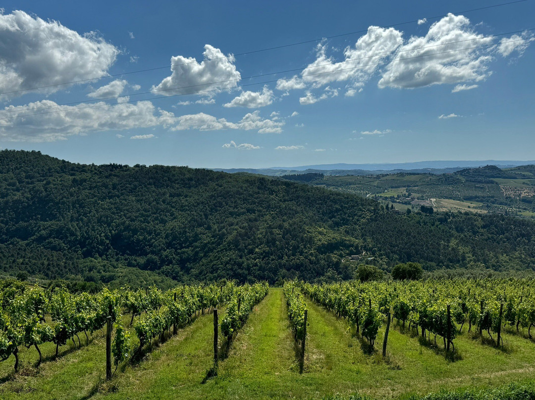 Discovery Chianti-格雷韦伊恩基亚恩蒂必去景点