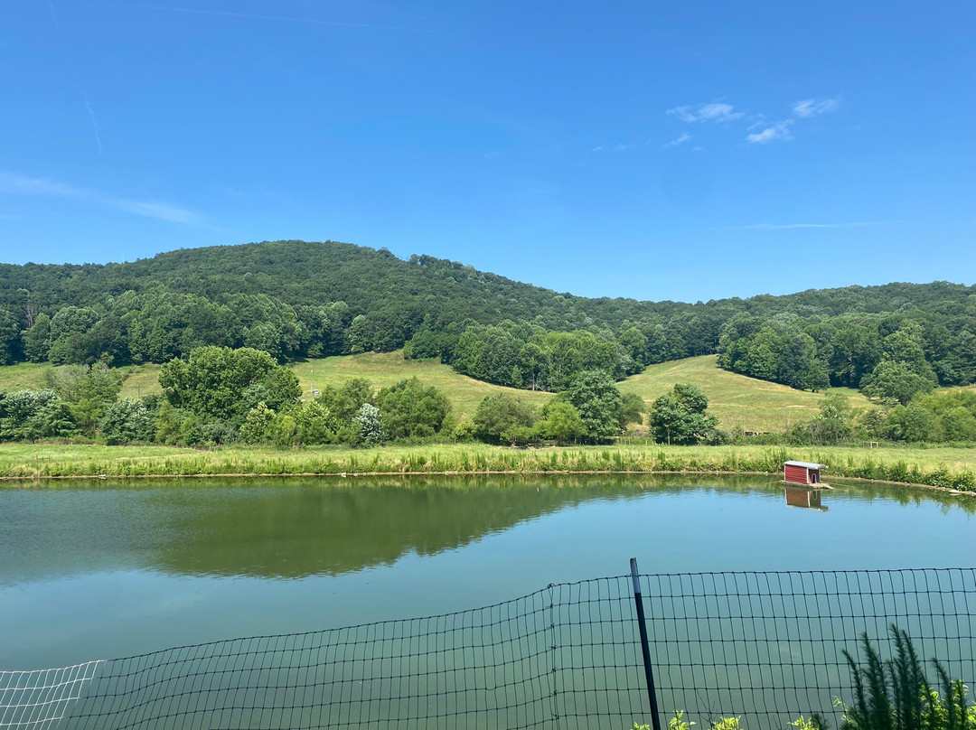 Mountain Valley Farm-Ellijay必去景点