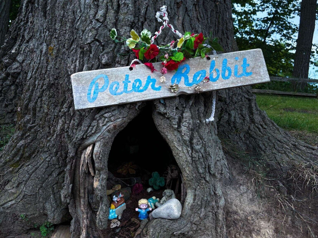 Sunrise Park-Lake Bluff必去景点