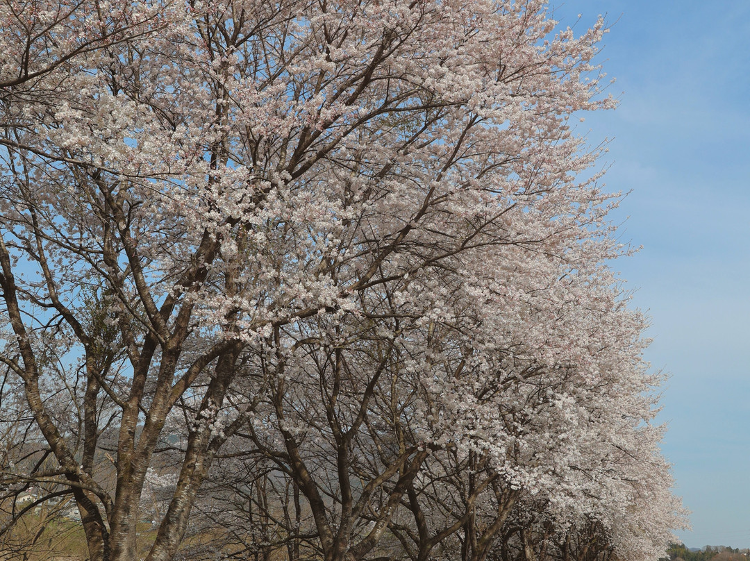Iwai Shinsui Park景点图片