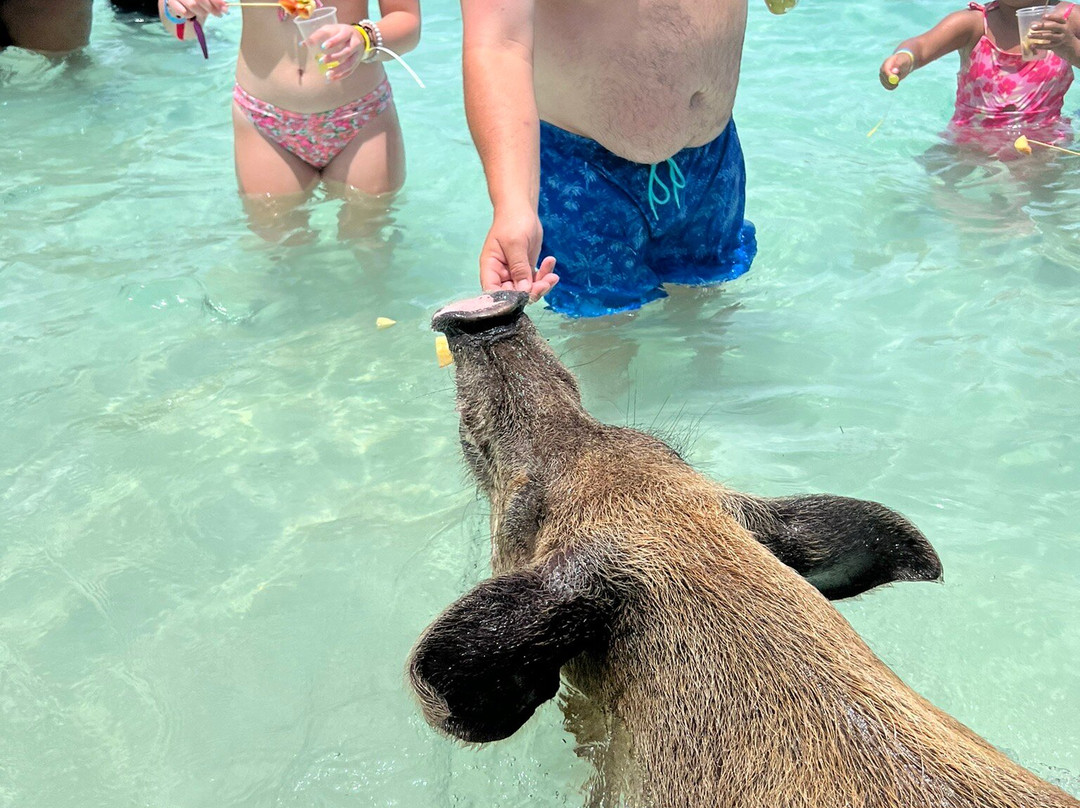 Sand Dollar Beach Resort-拿骚必去景点