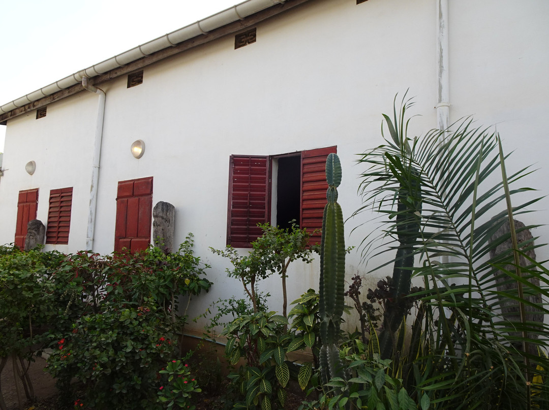 Musee Africart-Kara必去景点