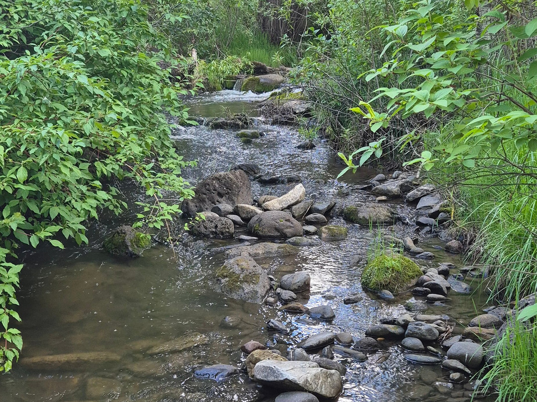 Four Mile Creek Bed and Breakfast主图
