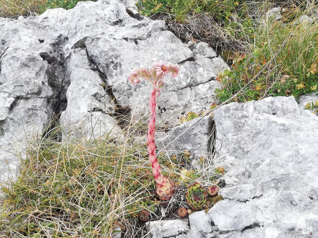 Grotta di Monte Cucco-Costacciaro必去景点