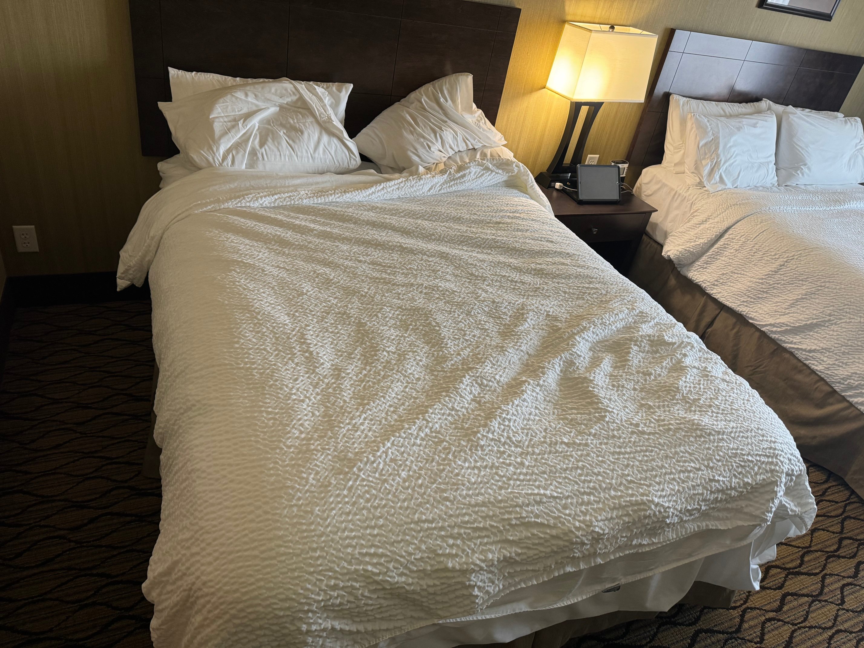 Holiday Inn Express & Suites Williston By IHG-客卧