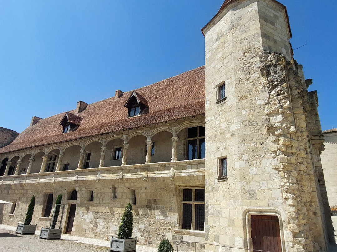 Château-Musée Henri IV景点图片