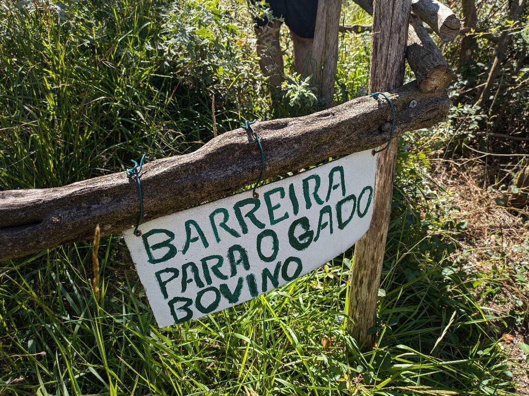 Bosque dos Avós景点图片