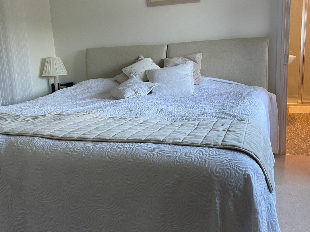 Shakespeare's View主图