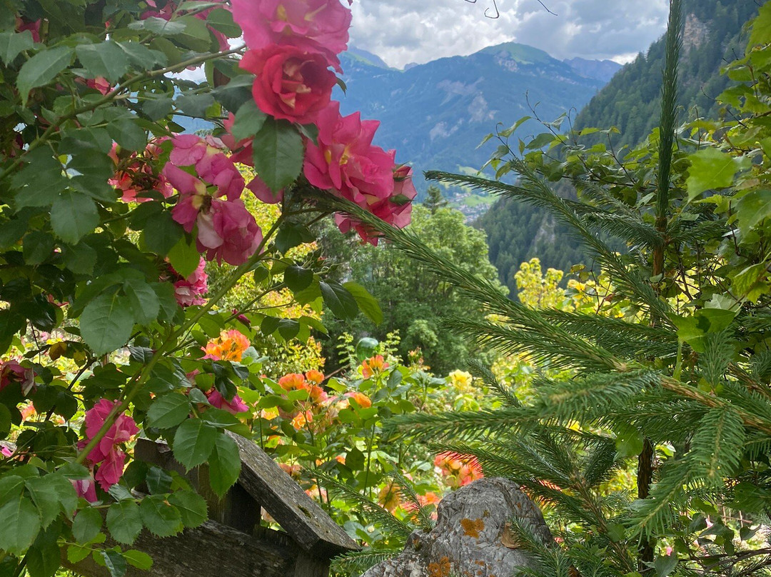 Rosarium Uhrerhof景点图片