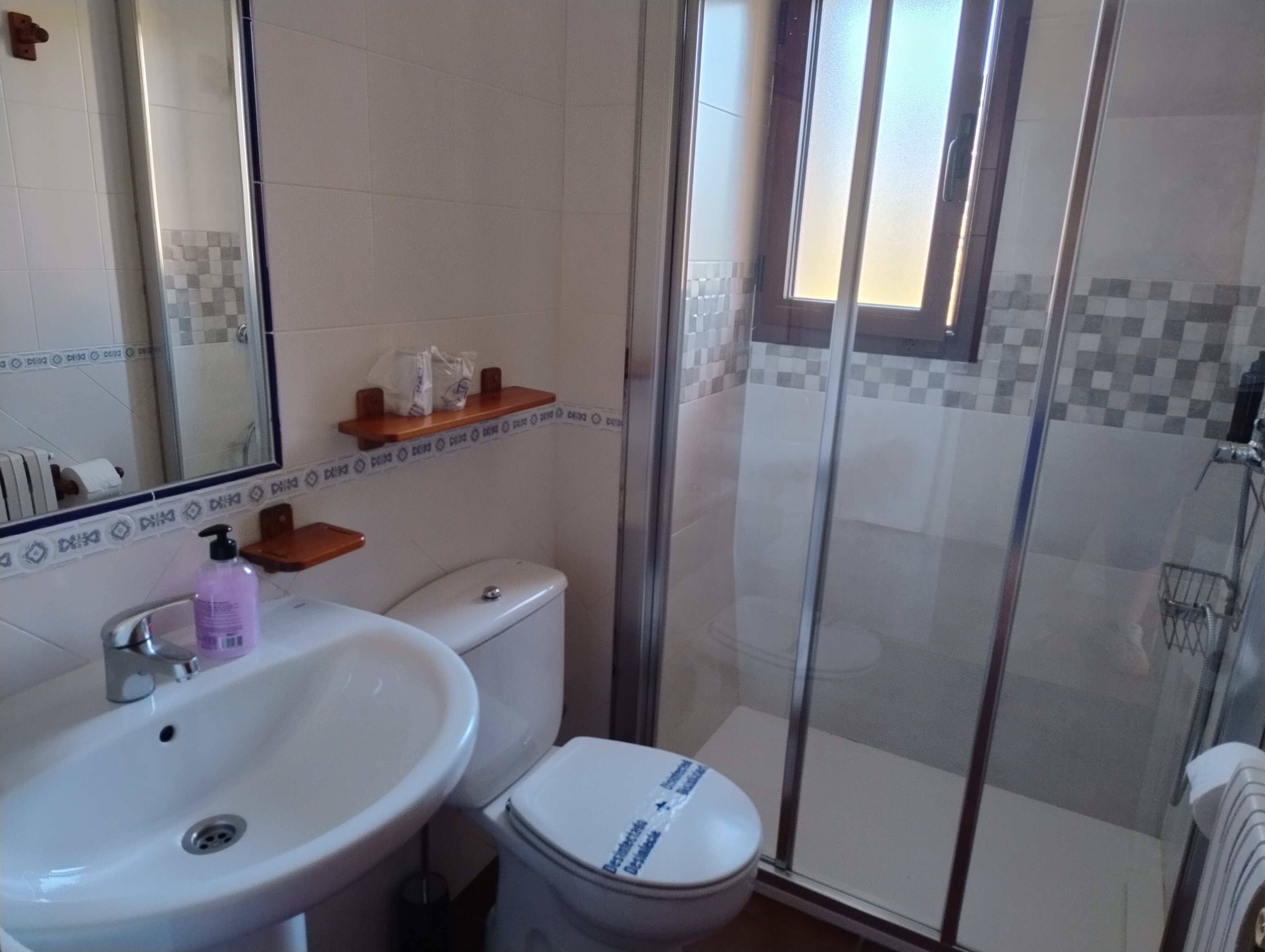 Hostal Los Palacios-浴室