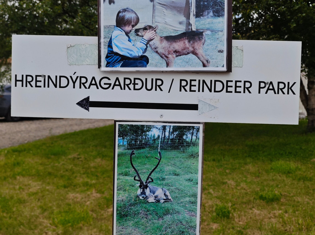 Reindeer Park / Hreindýragarðurinn景点图片