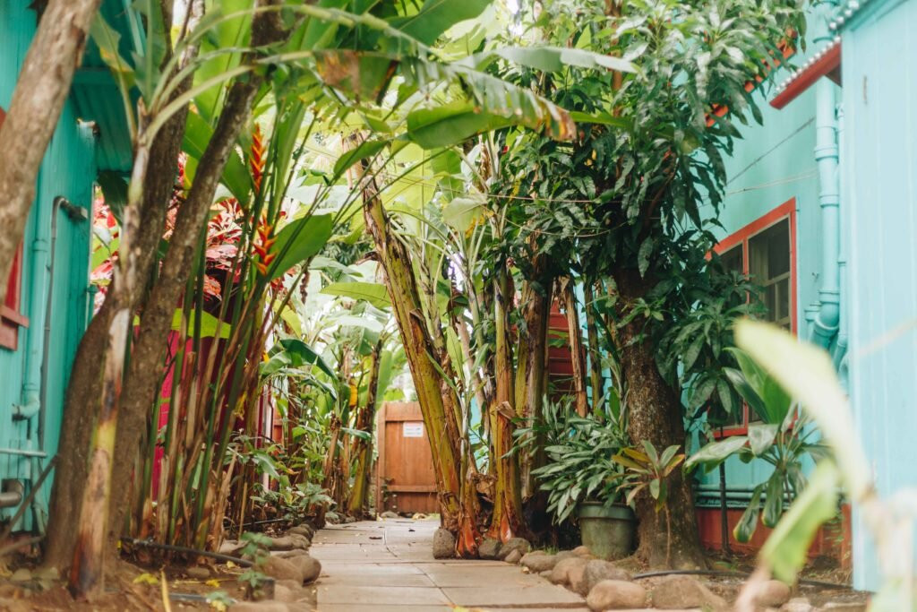 Banana Bungalow Maui Hostel