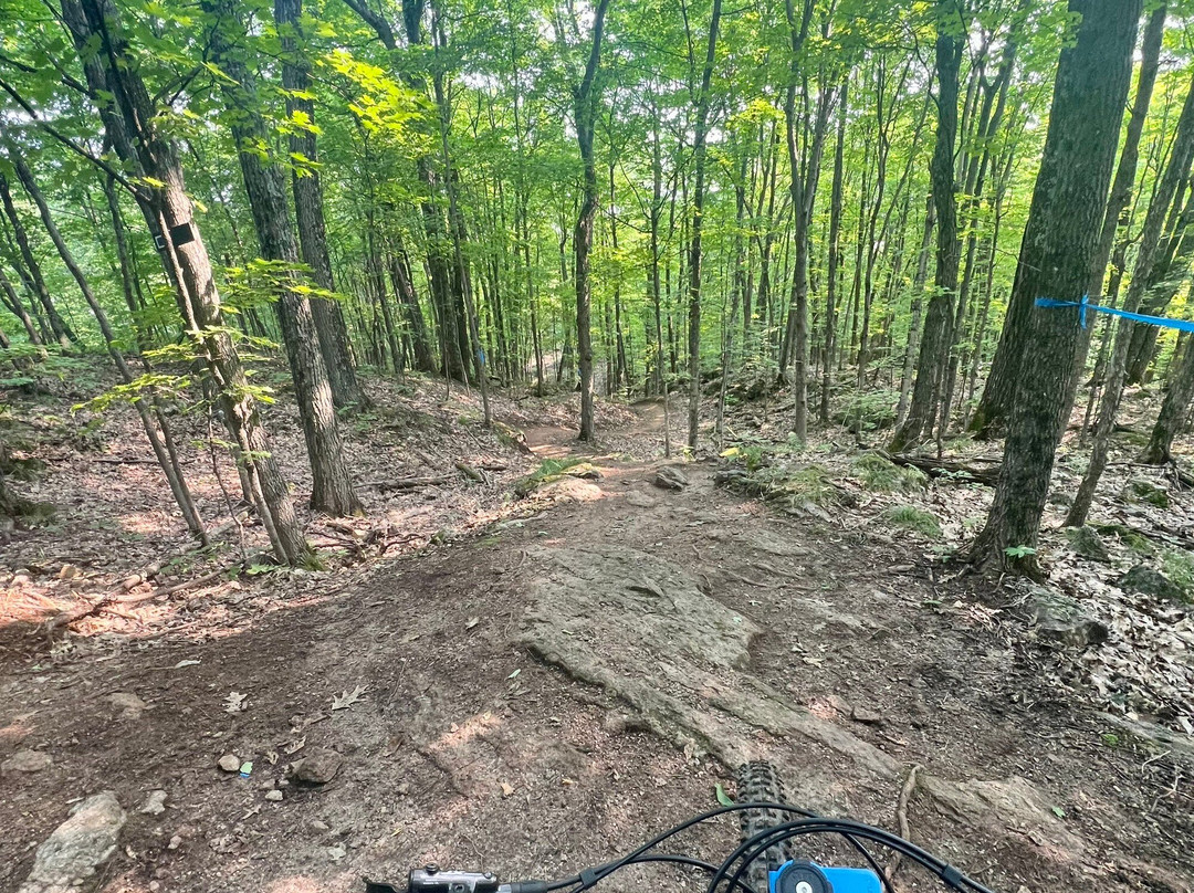 Domaine Kanawe-Cantley必去景点