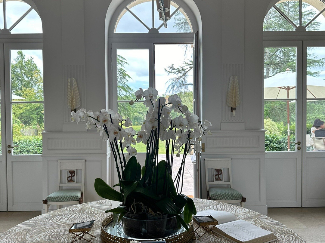 Château Le Pape主图