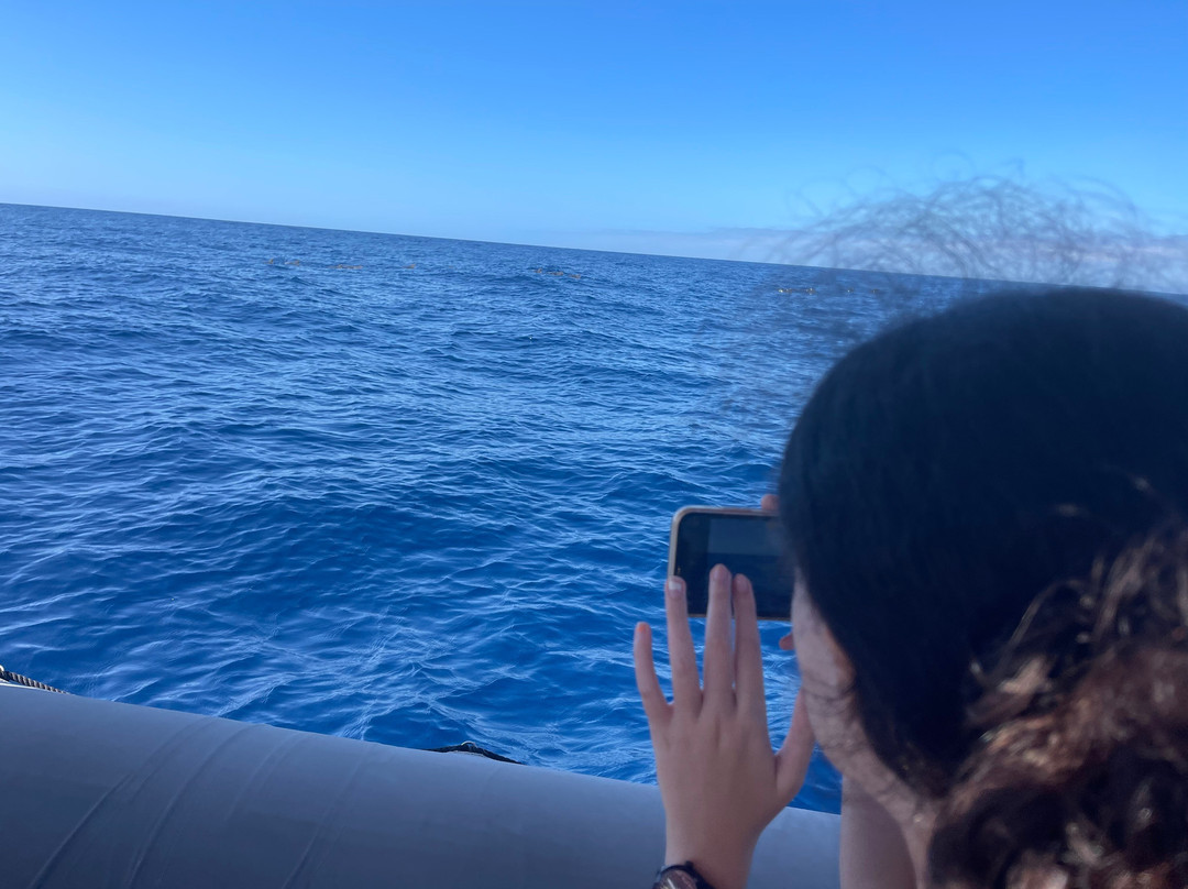 Whale Watch Tenerife-奥德杰海岸必去景点