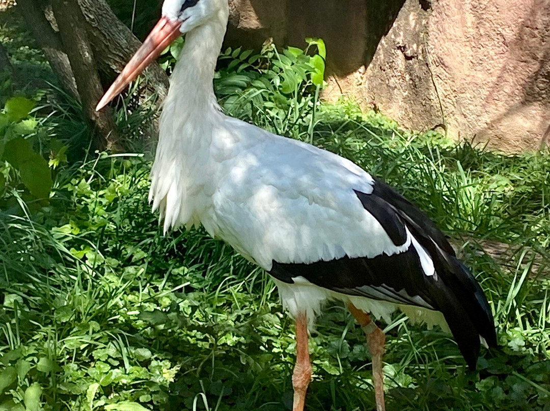 Fort Wayne Zoo-韦恩堡必去景点