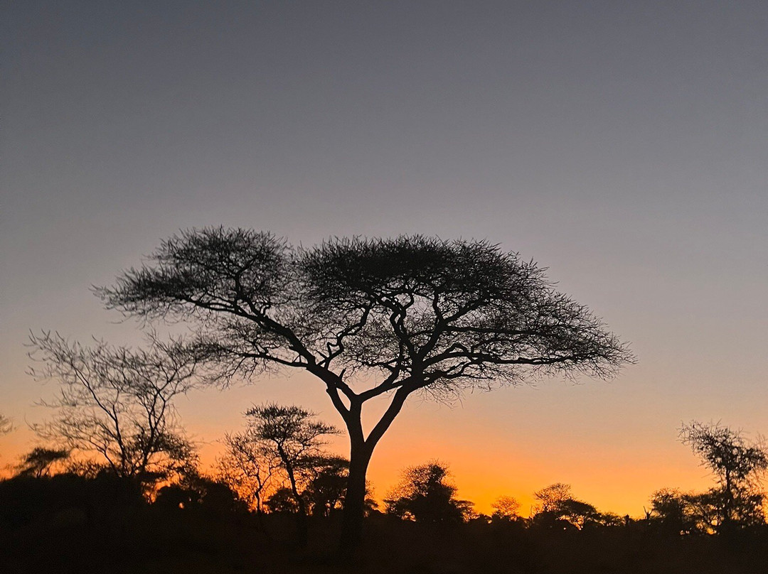 3 Wonders Expeditions-阿鲁沙必去景点