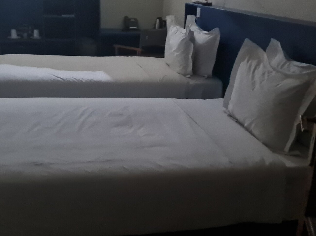 Sedia Riverside Hotel主图