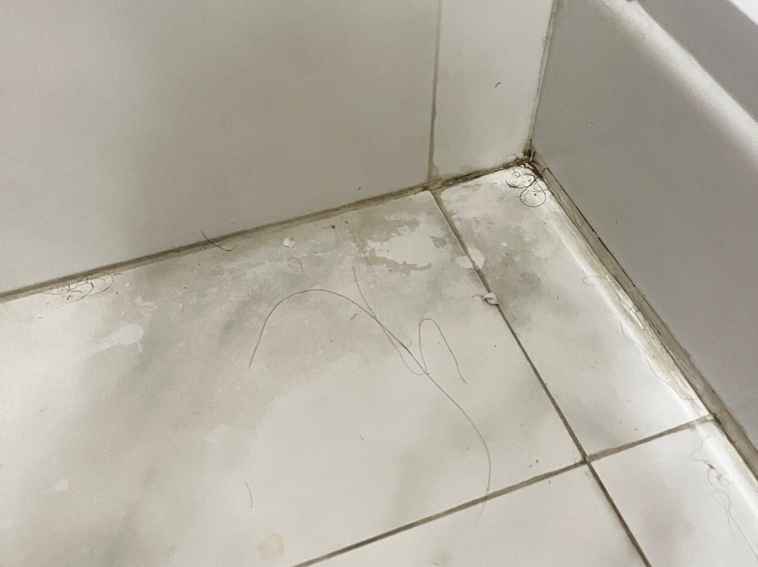 Mondial Park Hotel主图