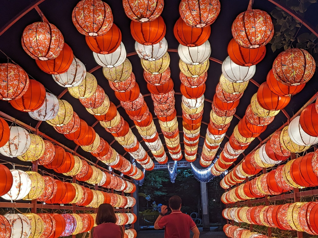 Asia Pearl Travel - Day Tours-河内必去景点