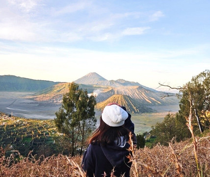 Bromo Tour By Hadi-泗水必去景点