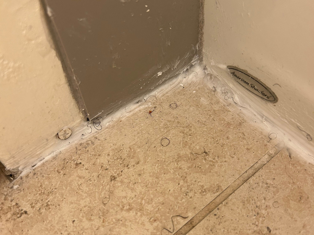 Hilton Garden Inn Providence Airport/Warwick主图