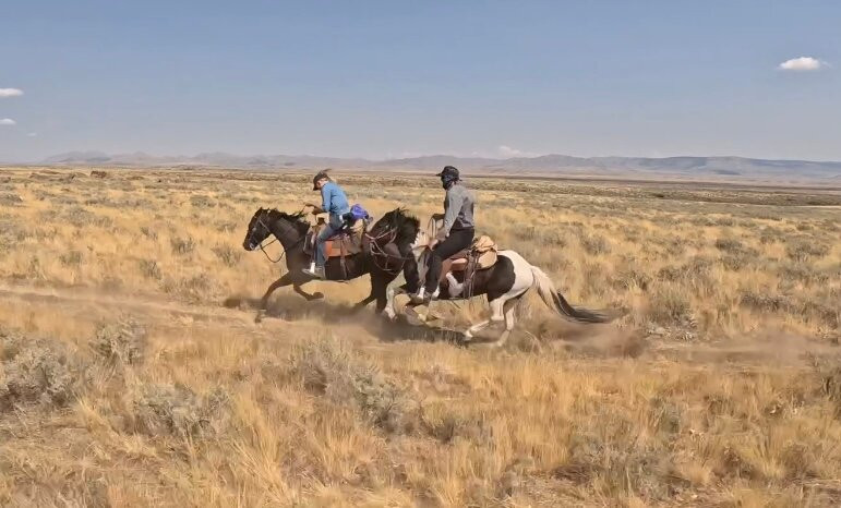 Silver Spur Ranch Idaho景点图片