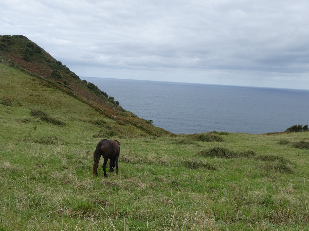 Faro Gorliz-Gorliz必去景点
