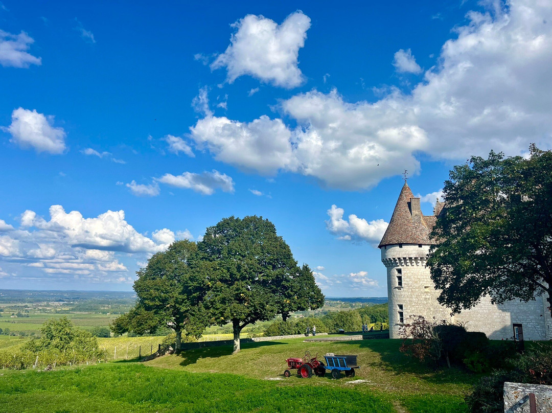 Château de Monbazillac景点图片