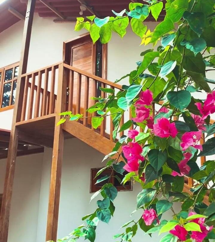 Ayampe Nature