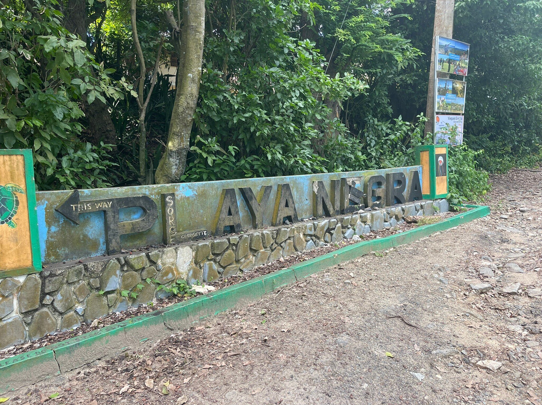 Black Sand Beach-维切克岛必去景点