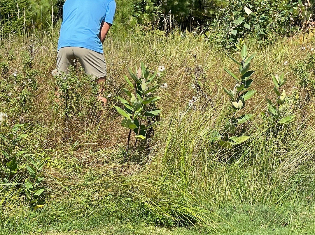 Garland Lodge & Golf Resort主图