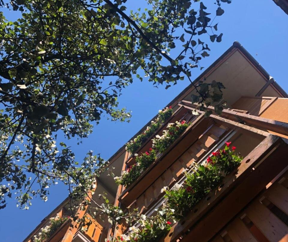 Hotel Moizi主图