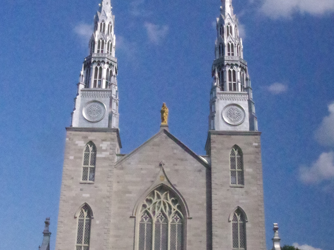 Notre Dame Cathedral Basilica景点图片