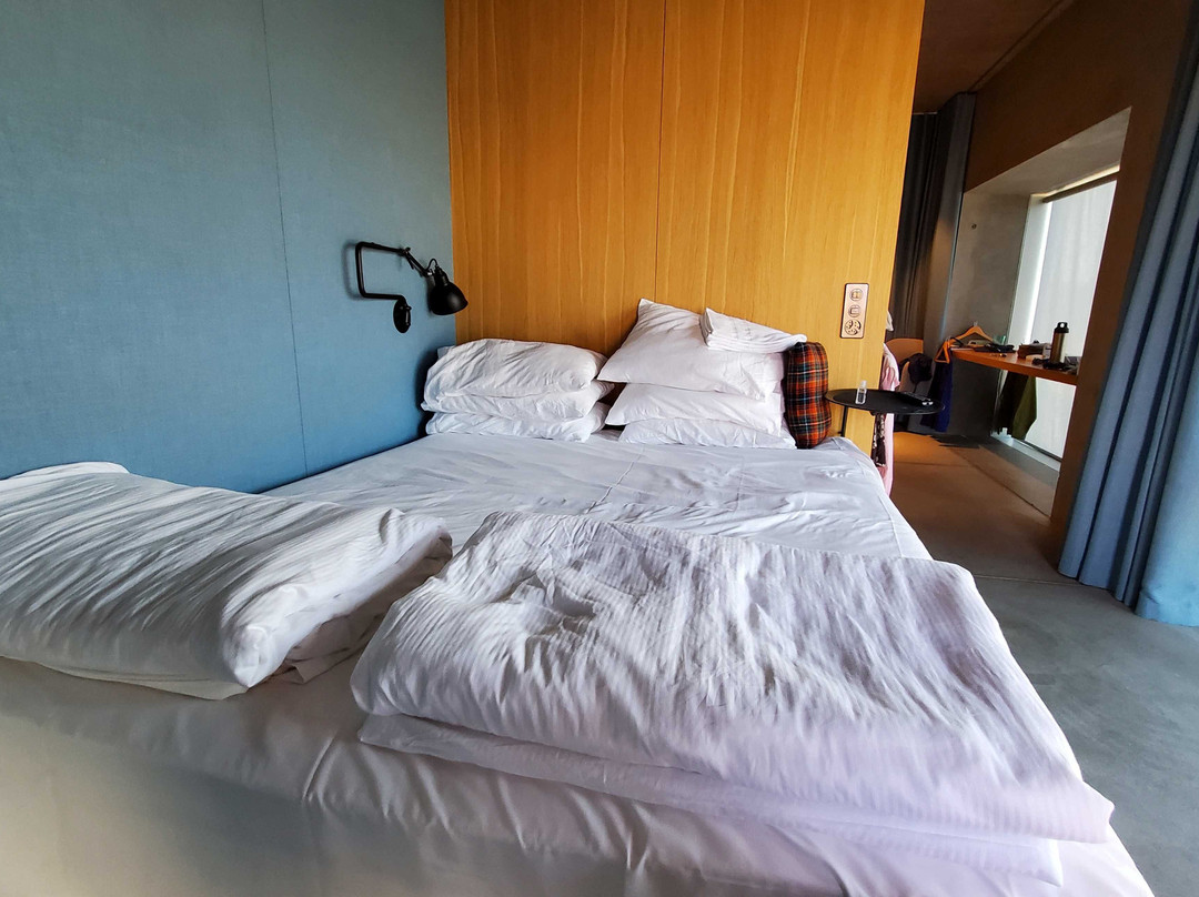 Placid Hotel Design & Lifestyle Zurich主图
