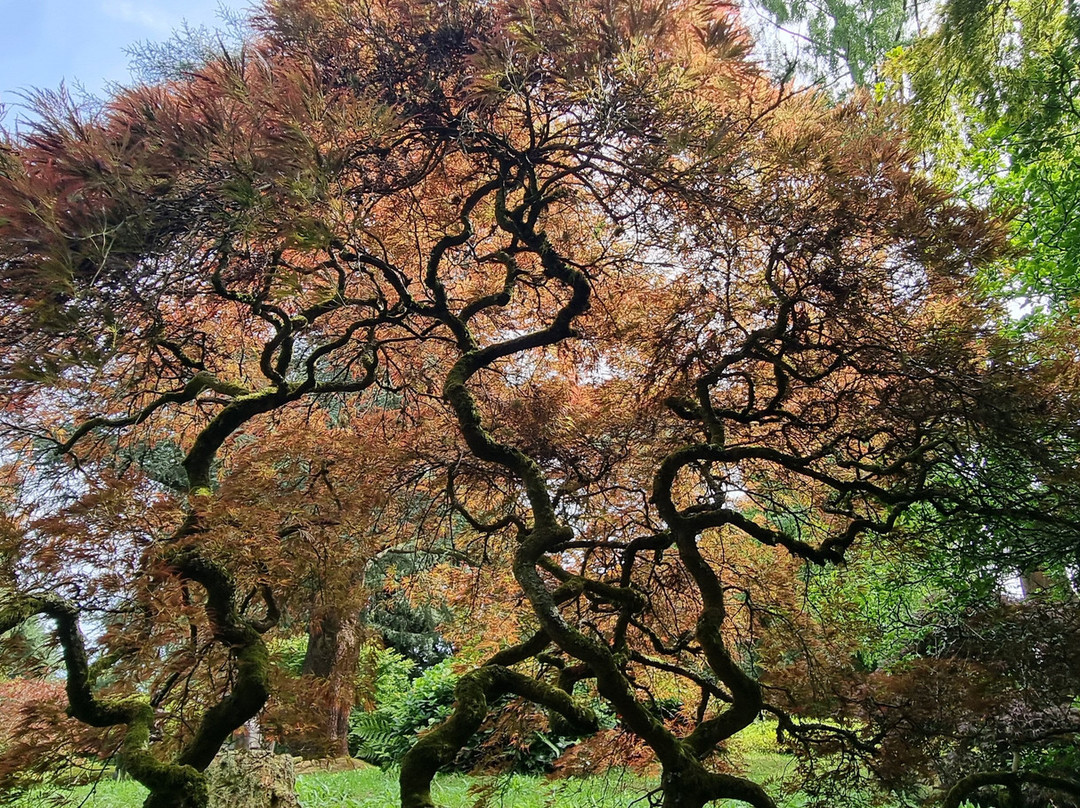 Ramster Gardens景点图片