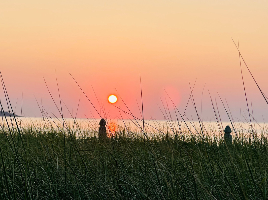 The Beach House主图