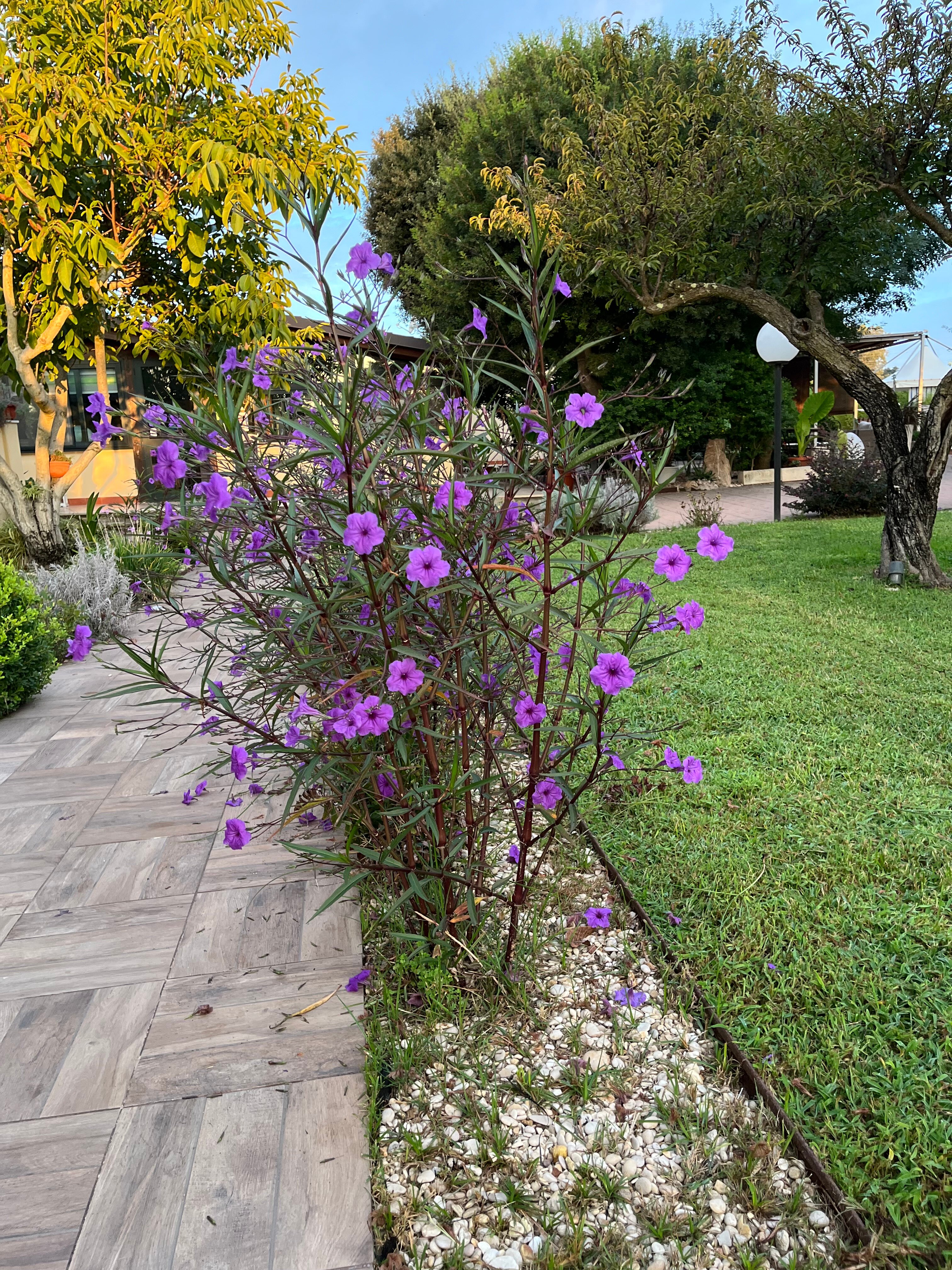 I Lecci Guest House-官方