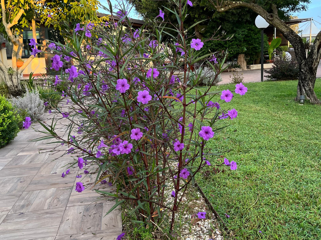 I Lecci Guest House主图